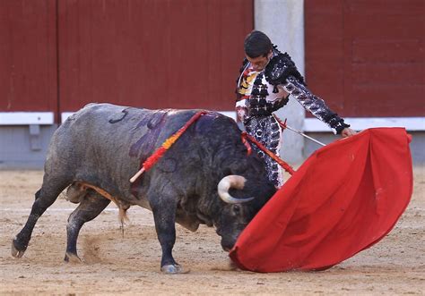 quién torea hoy en san fermín|plaza de toros pamplona.